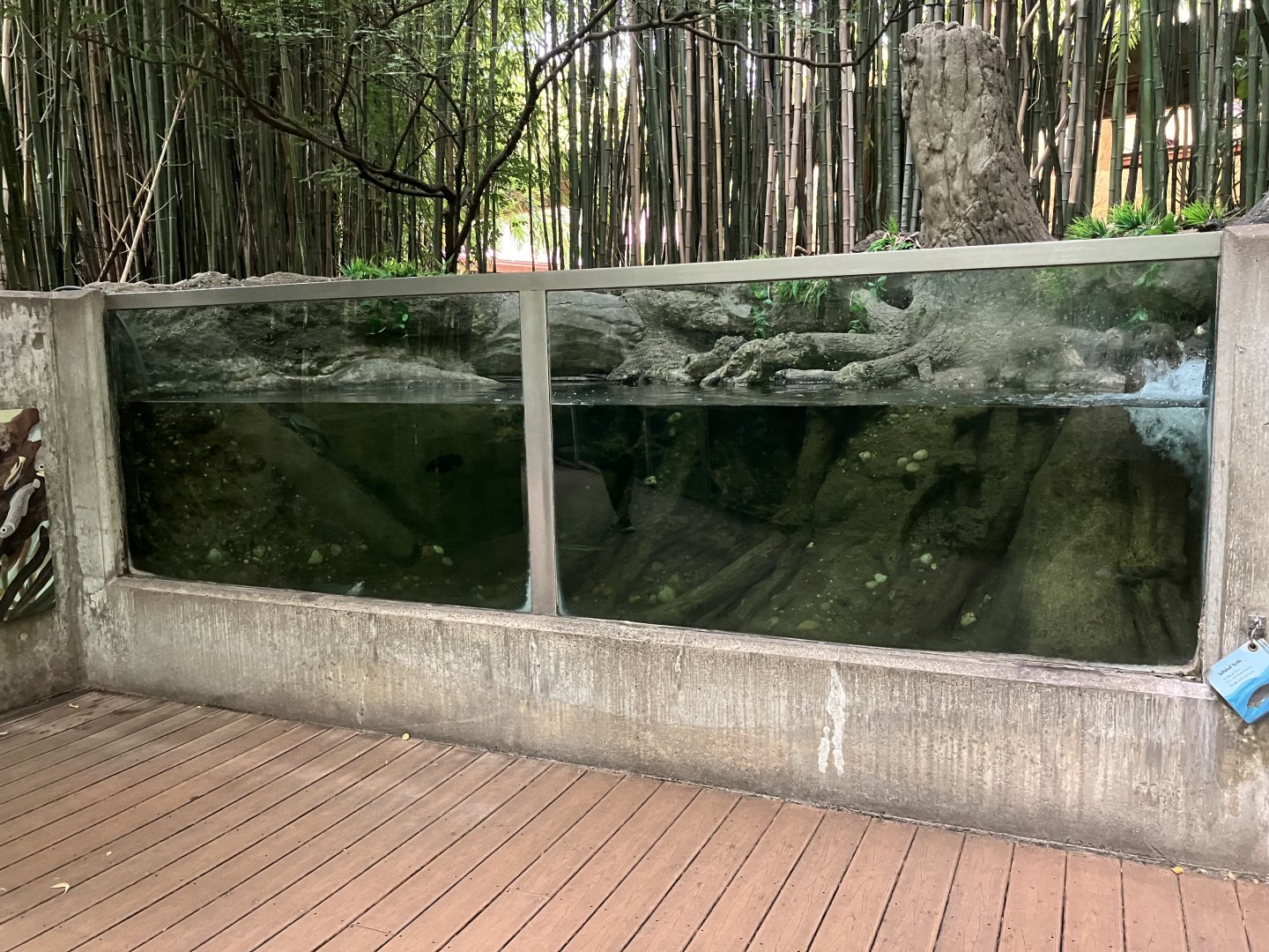 Children’s Zoo - Turtle Tank