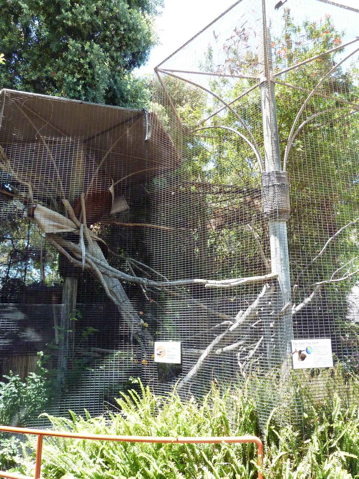 Children's Zoo - Two-Toed Sloth Exhibit