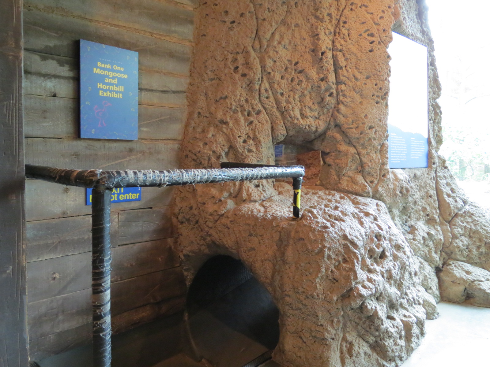 Childrens Zoo - Underzone - Dwarf Mongoose and Jacksons Hornbill Exhibit -