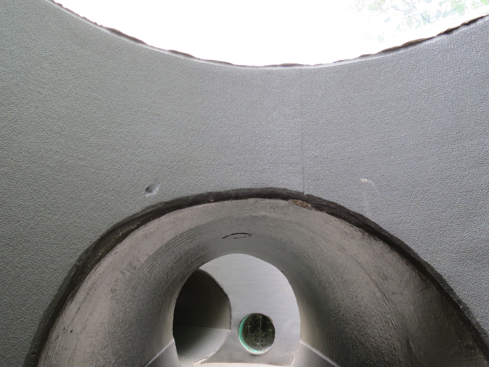 Childrens Zoo - Underzone - Dwarf Mongoose and Jacksons Hornbill Exhibit -