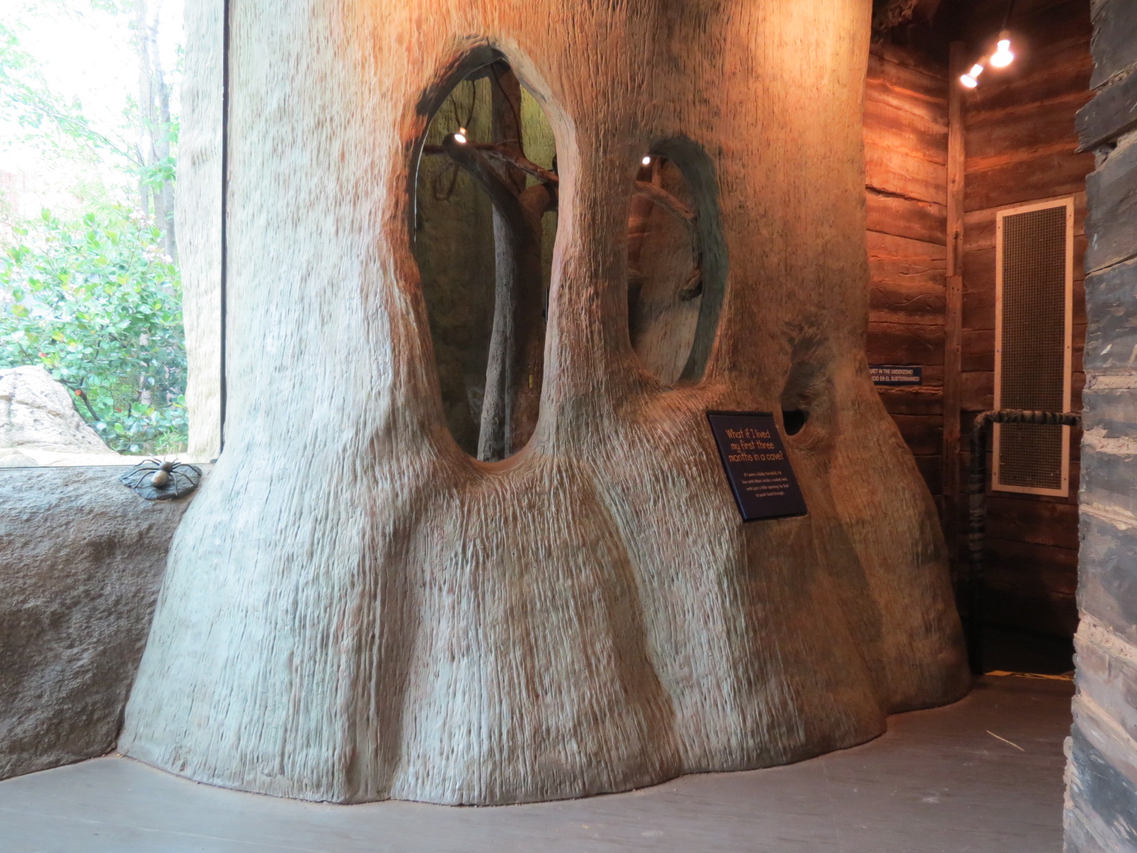 Childrens Zoo - Underzone - Jacksons Hornbill Exhibit