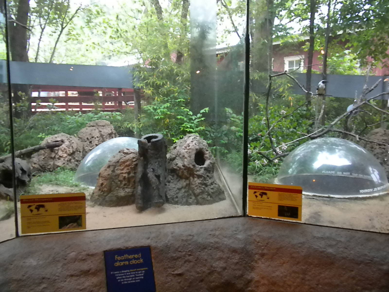 Children's Zoo - Underzone