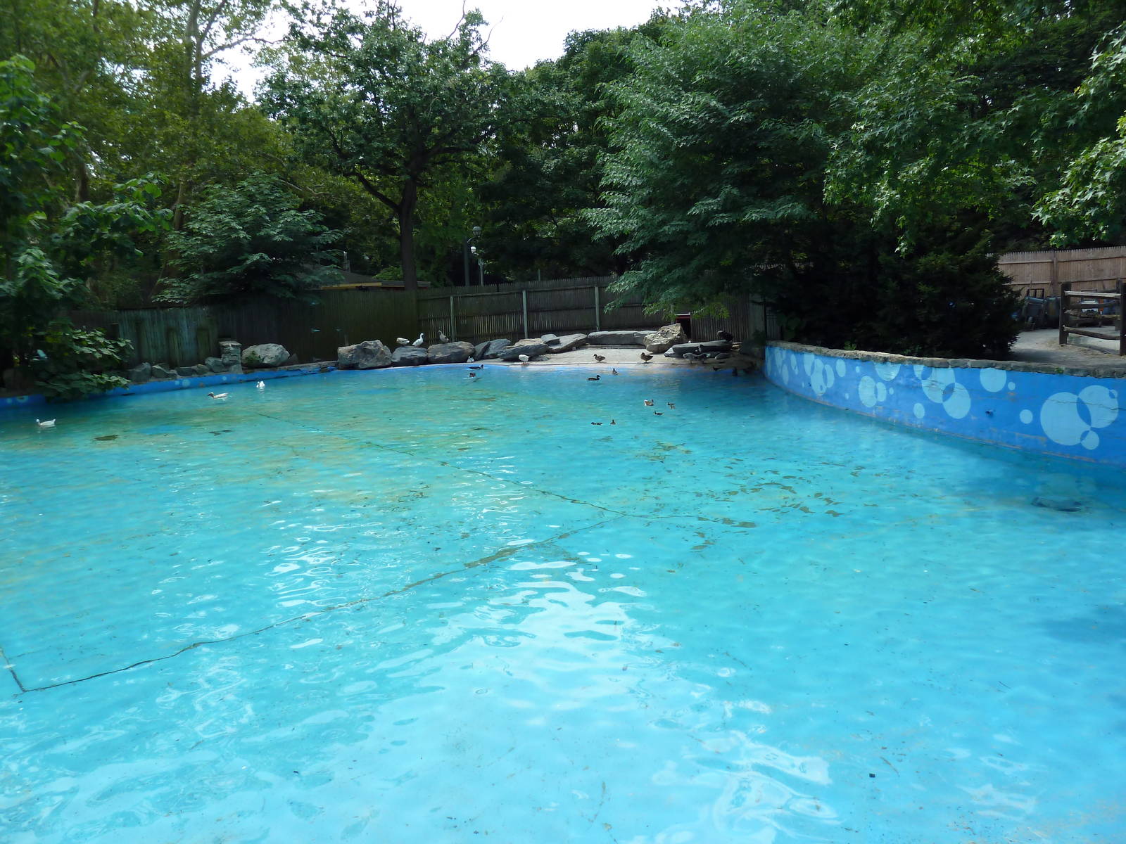 Children's Zoo - Waterfowl Pond