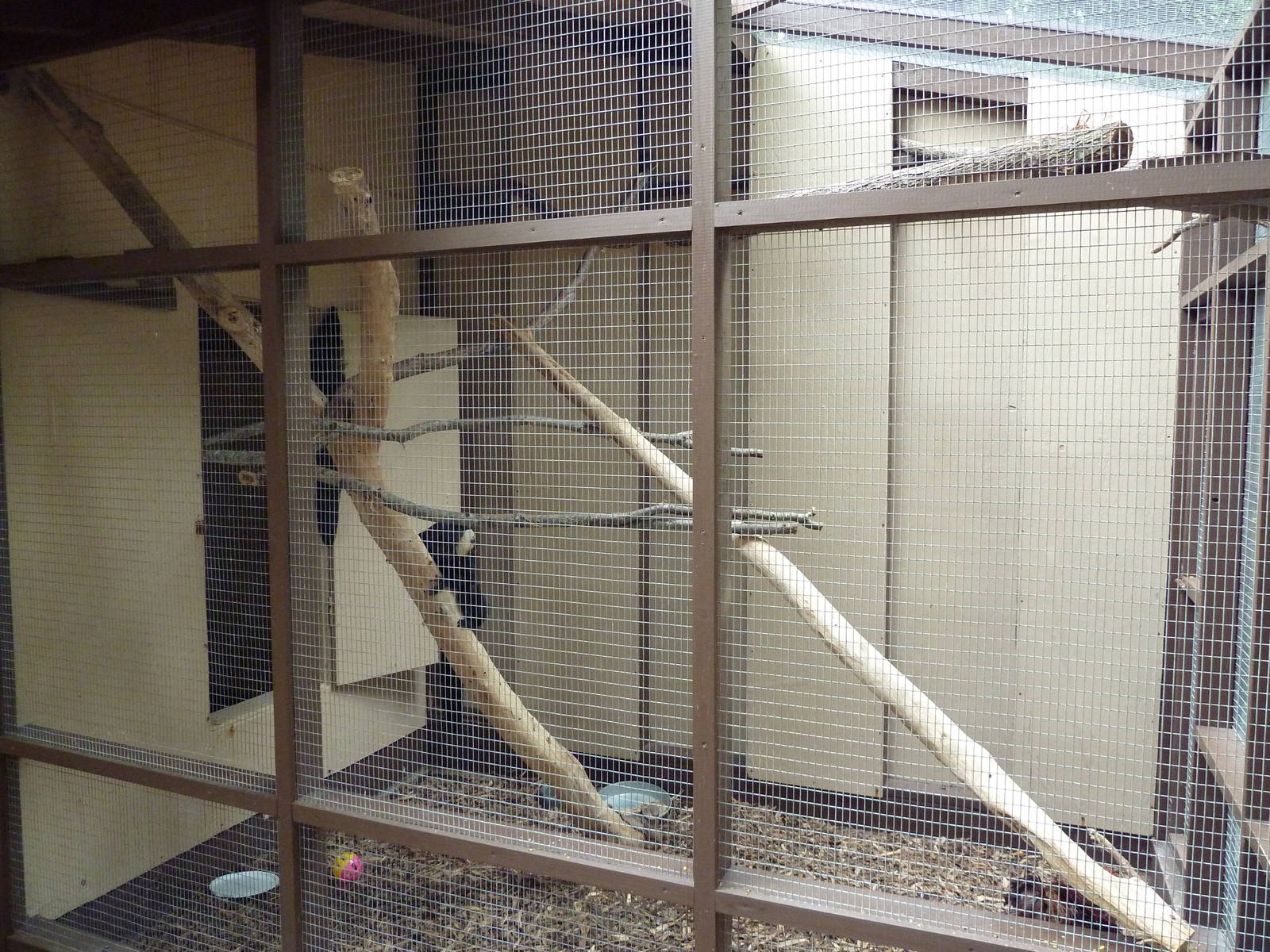 Children's Zoo - White-Faced Saki Exhibit