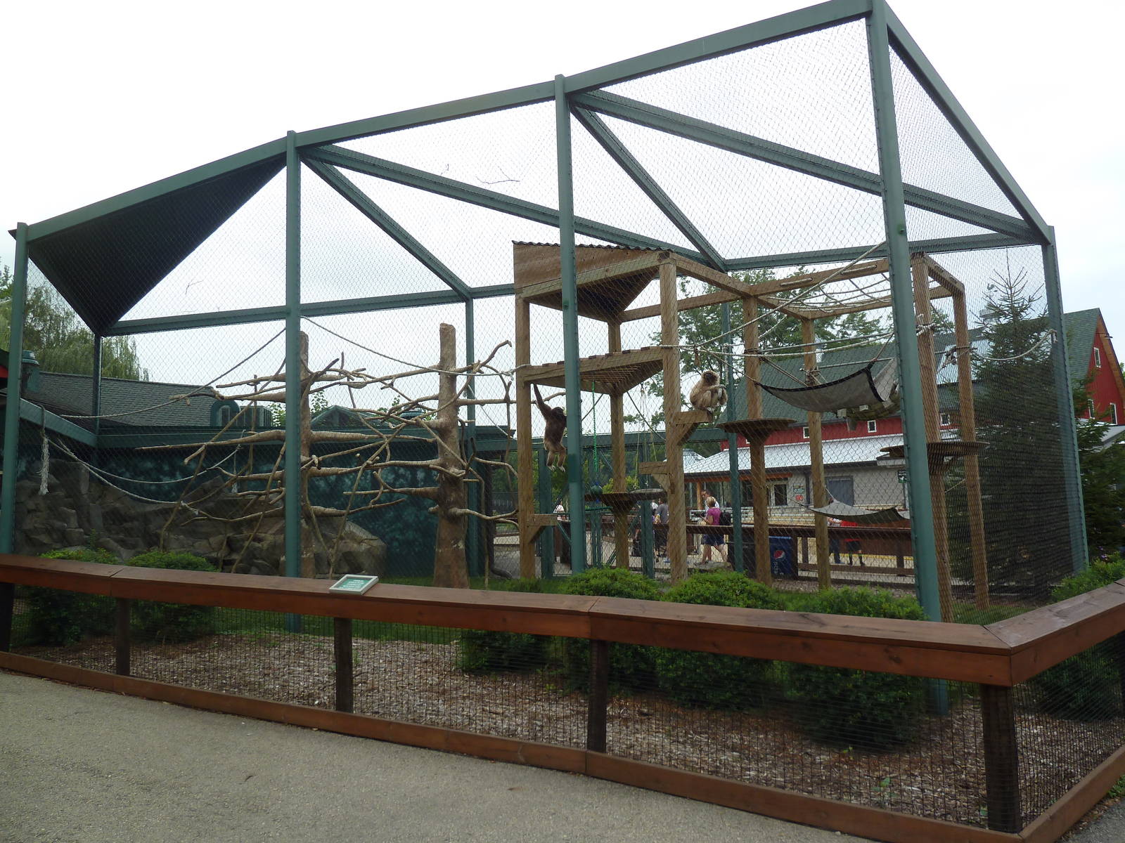 Children's Zoo - White-Handed Gibbon Exhibit