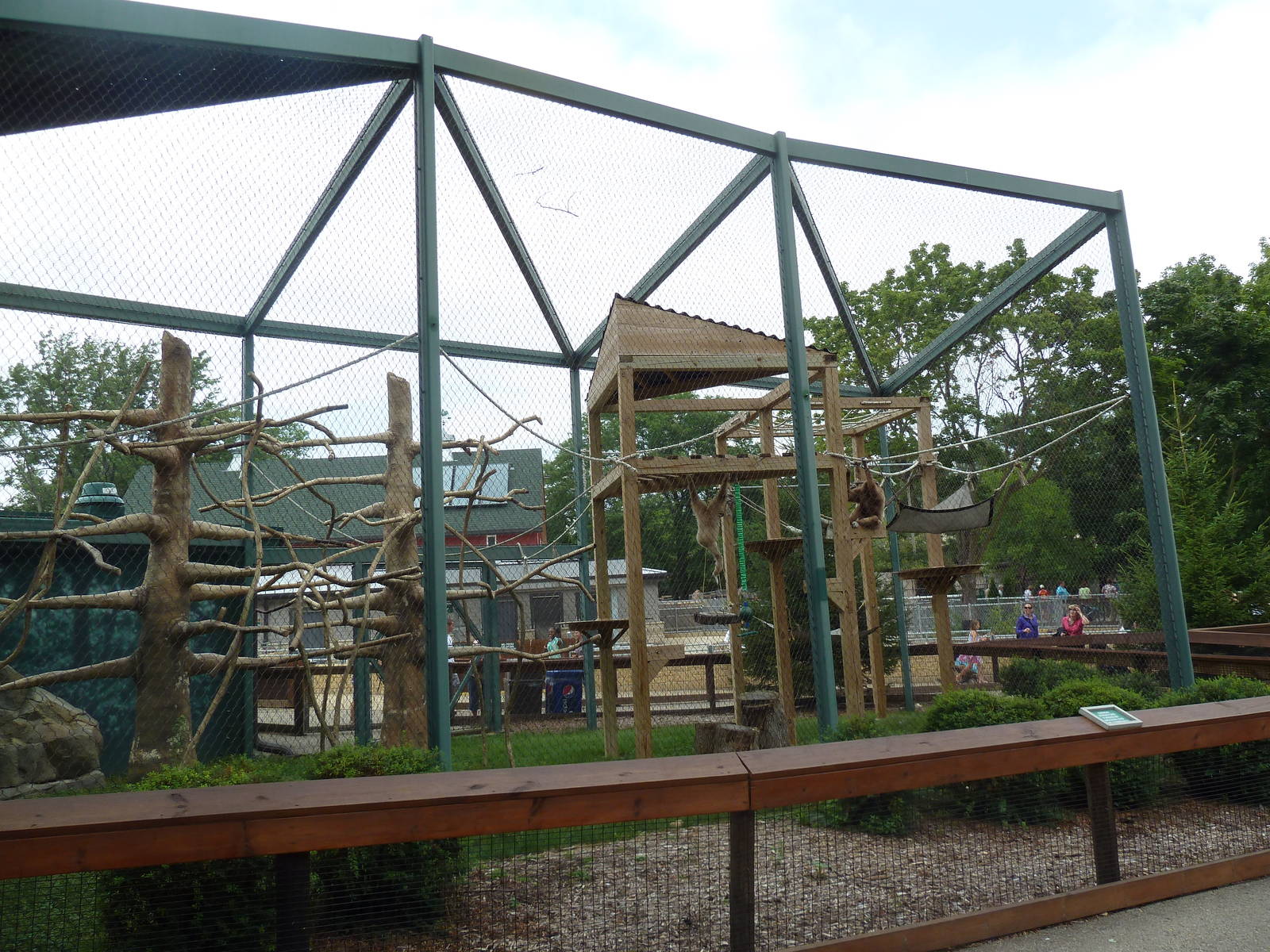 Children's Zoo - White-Handed Gibbon Exhibit