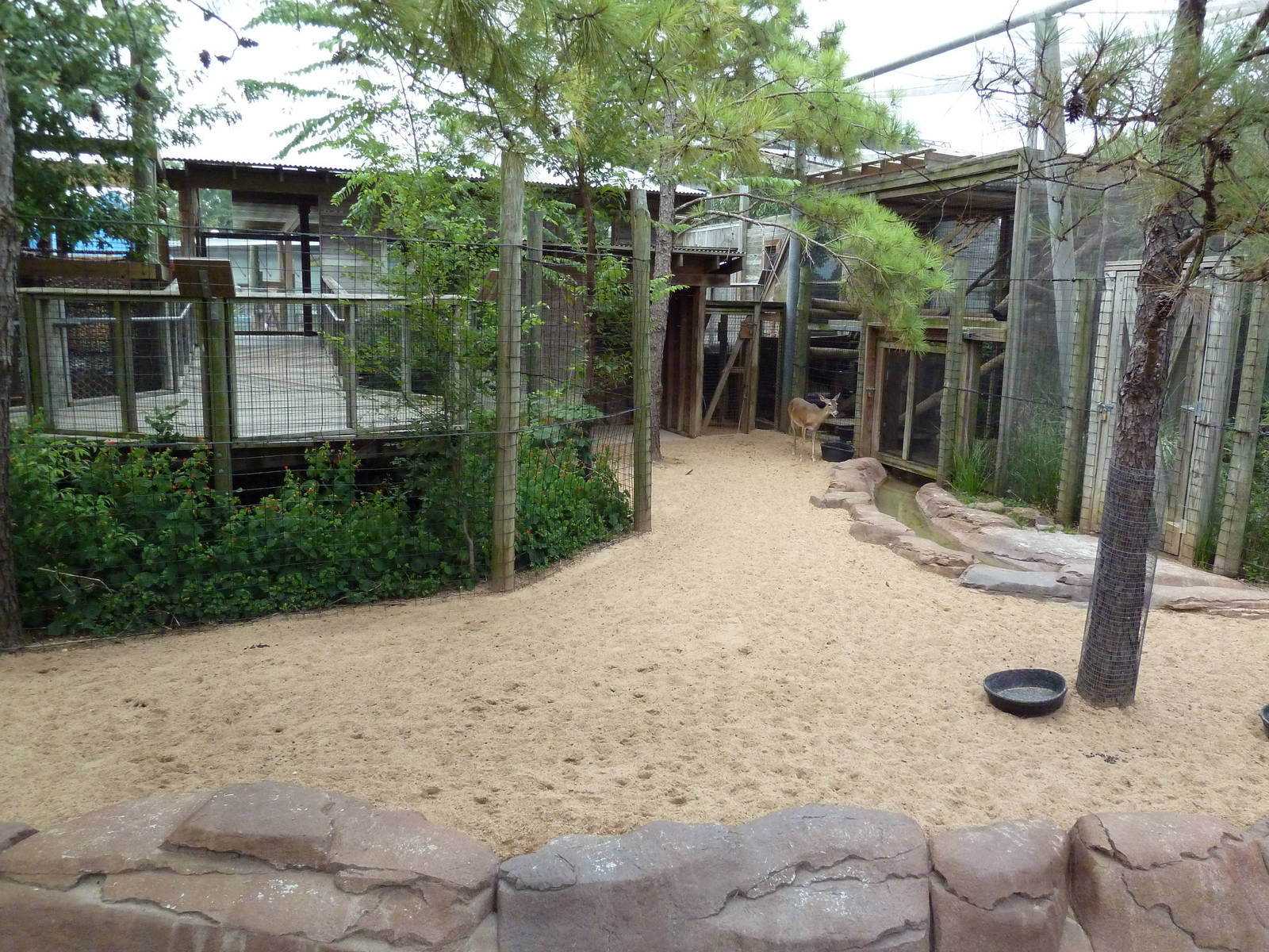 Children's Zoo - White-Tailed Deer/Rio Grande Turkey Exhibit