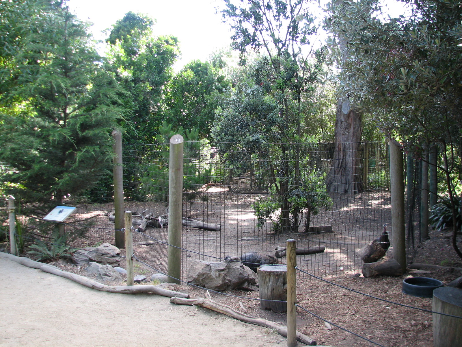 Childrens Zoo - Wild Turkey Exhibit