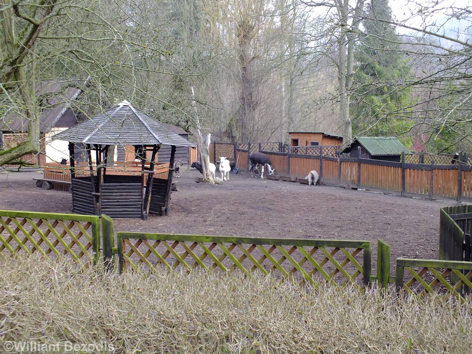 Childrens' Zoo