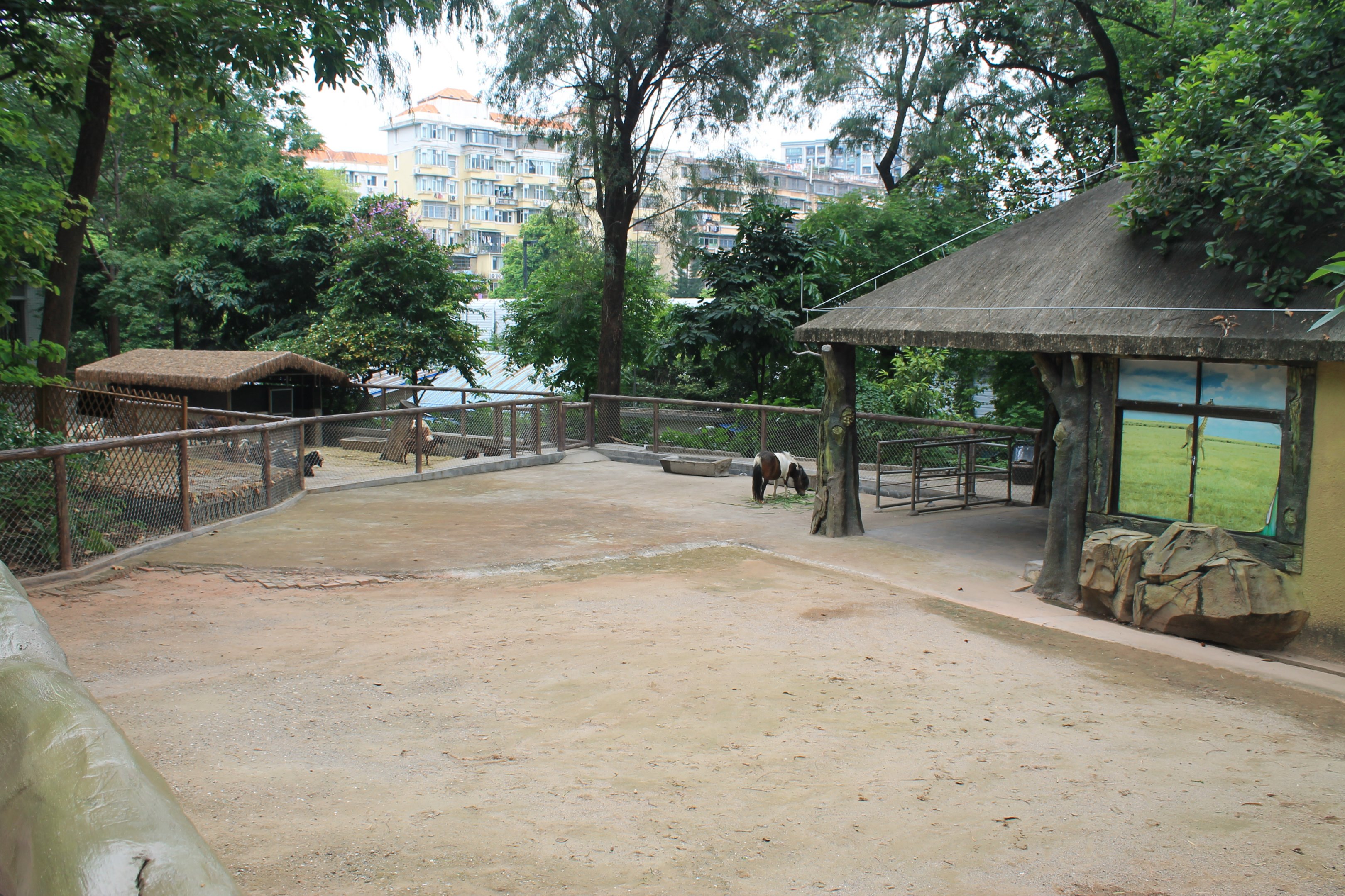 Childrens Zoo