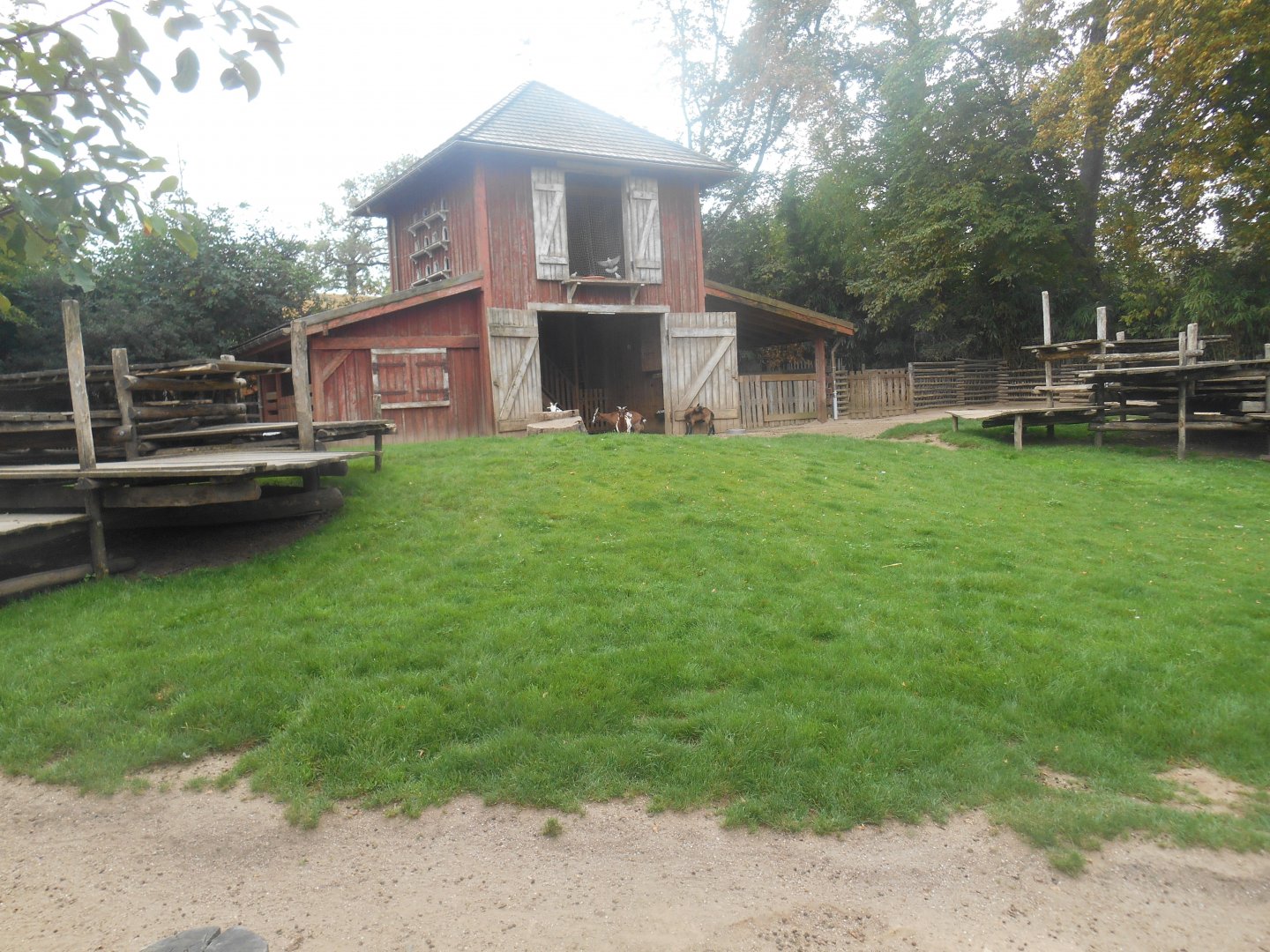 Children'Zoo - Goats Exhibit