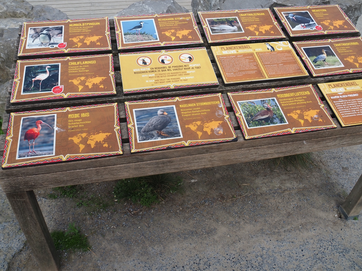 Chilean aviary bird signs