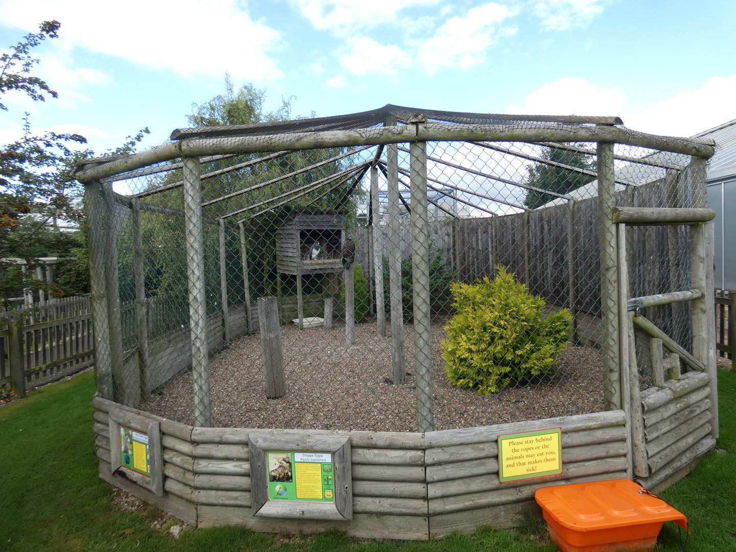 Chilean blue eagle and Steppe eagle enclosure