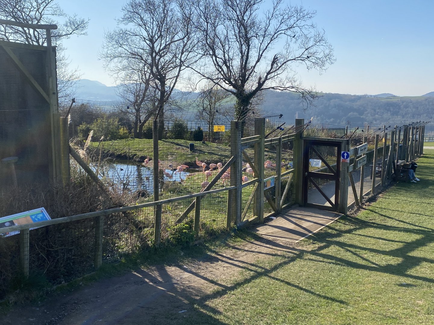 Chilean flamingo and waterfowl enclosure 190325