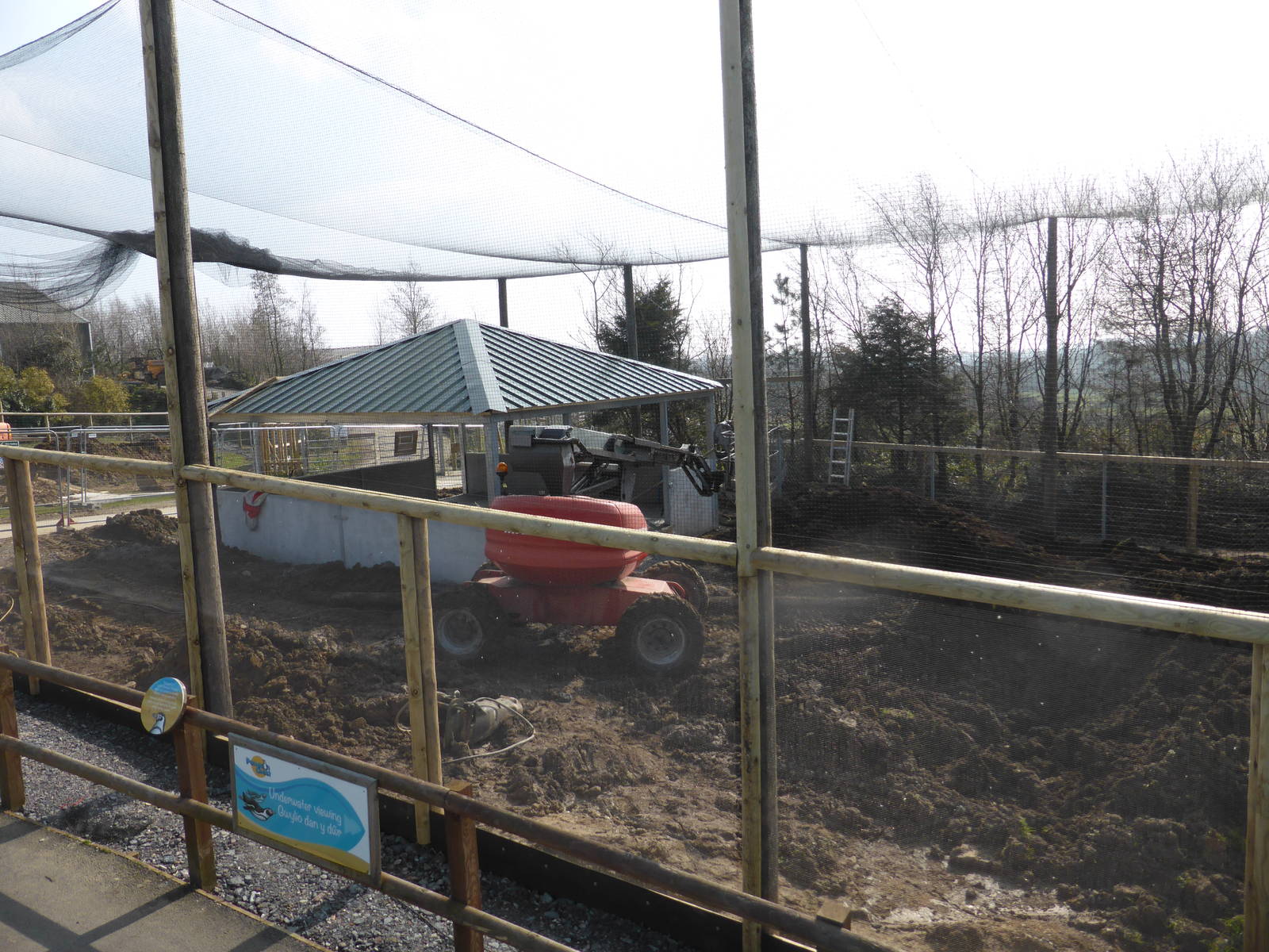 Chilean flamingo aviary under construction .