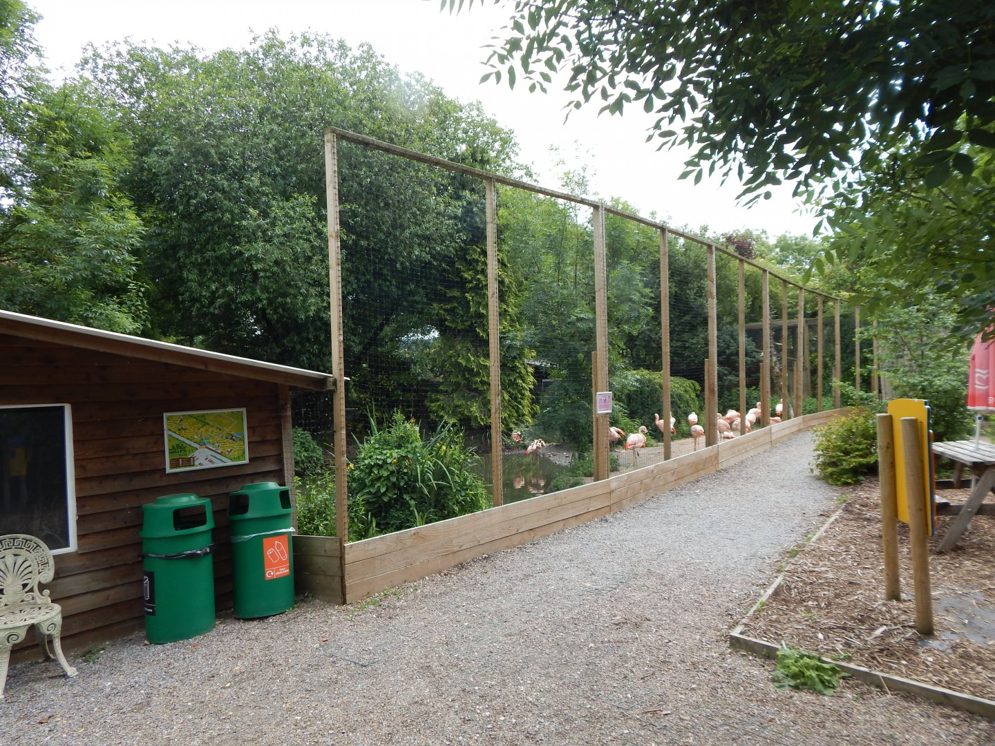 Chilean flamingo enclosure 060625