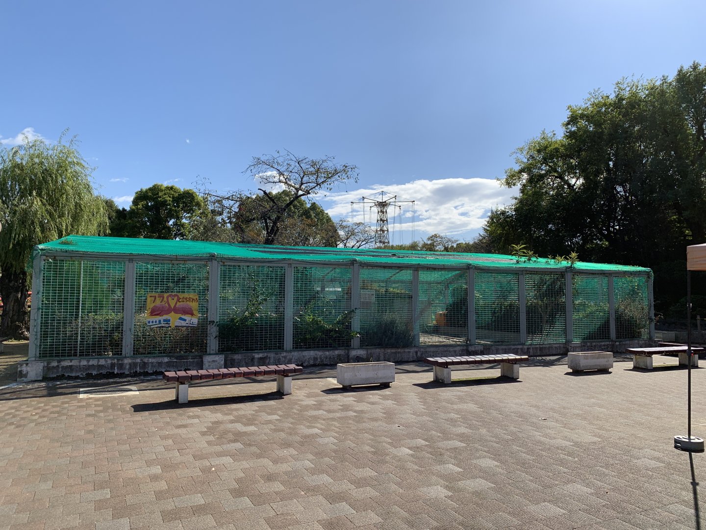 Chilean Flamingo Enclosure (Himeji City Zoo)