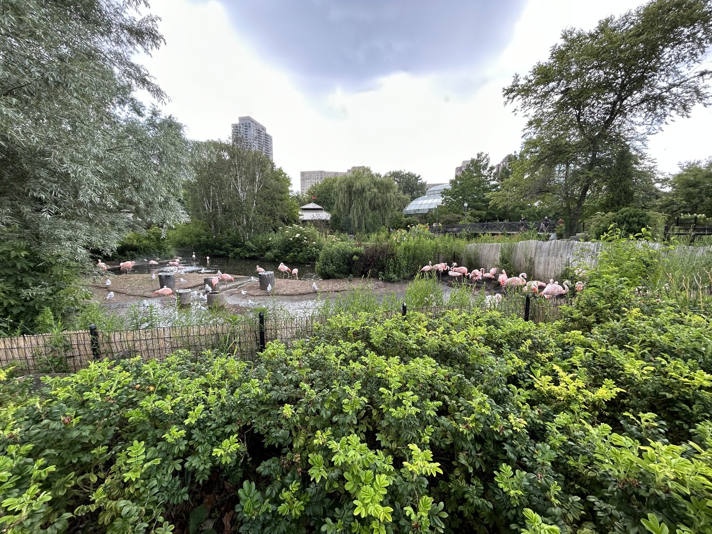 Chilean Flamingo Exhibit + Reptile & Small Mammal House