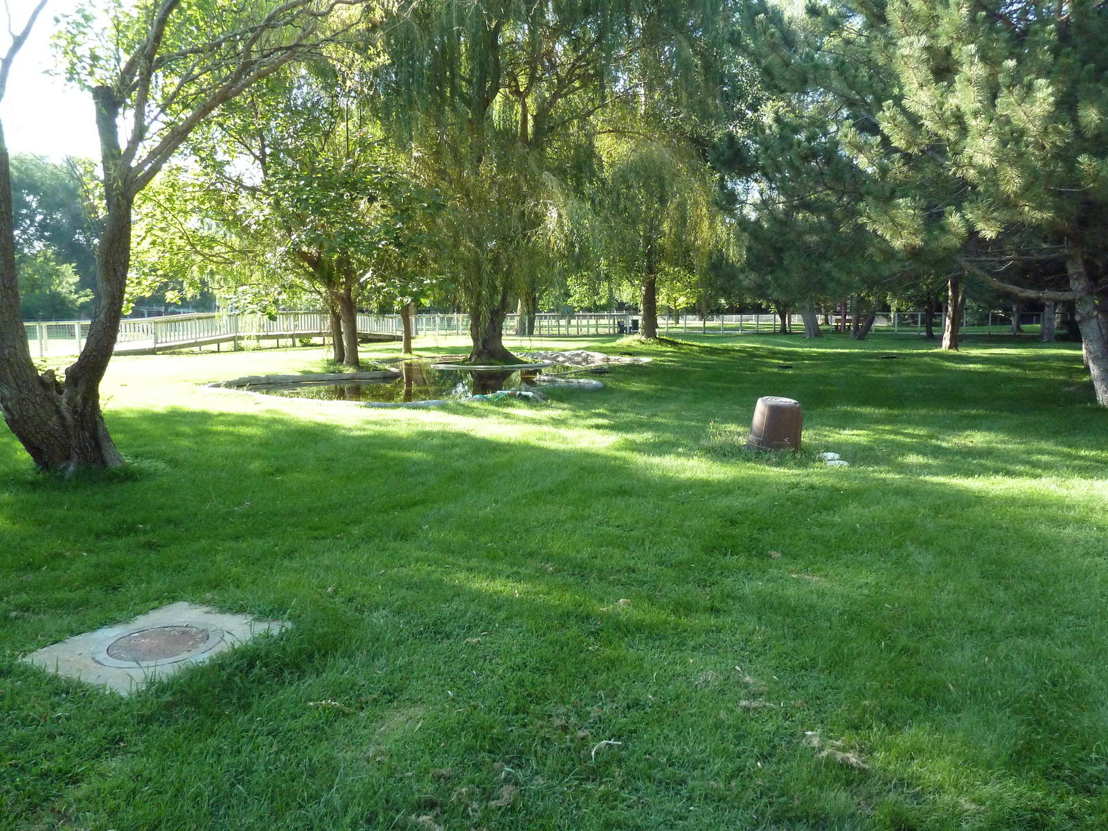 Chilean Flamingo Exhibit