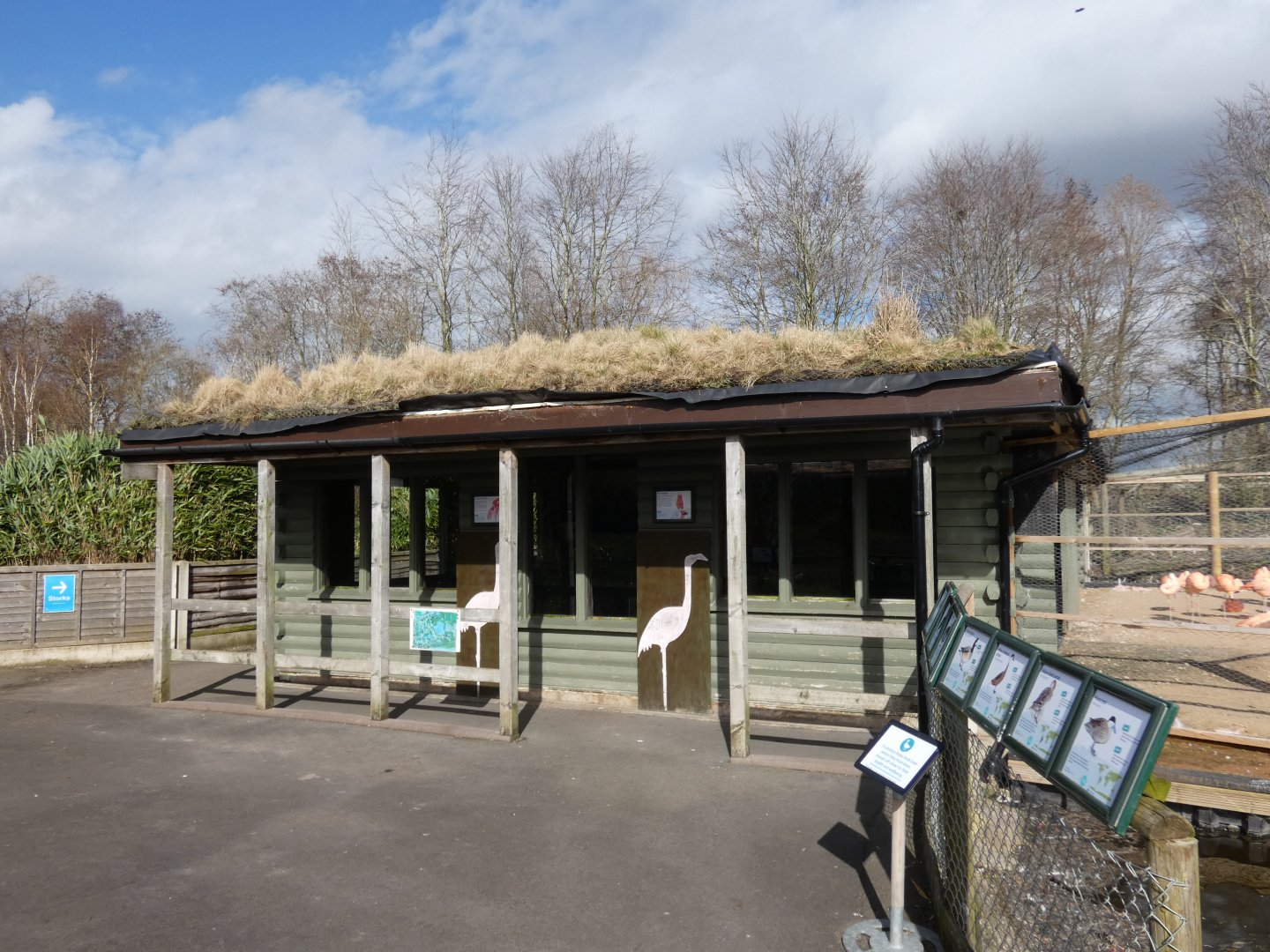Chilean flamingo house
