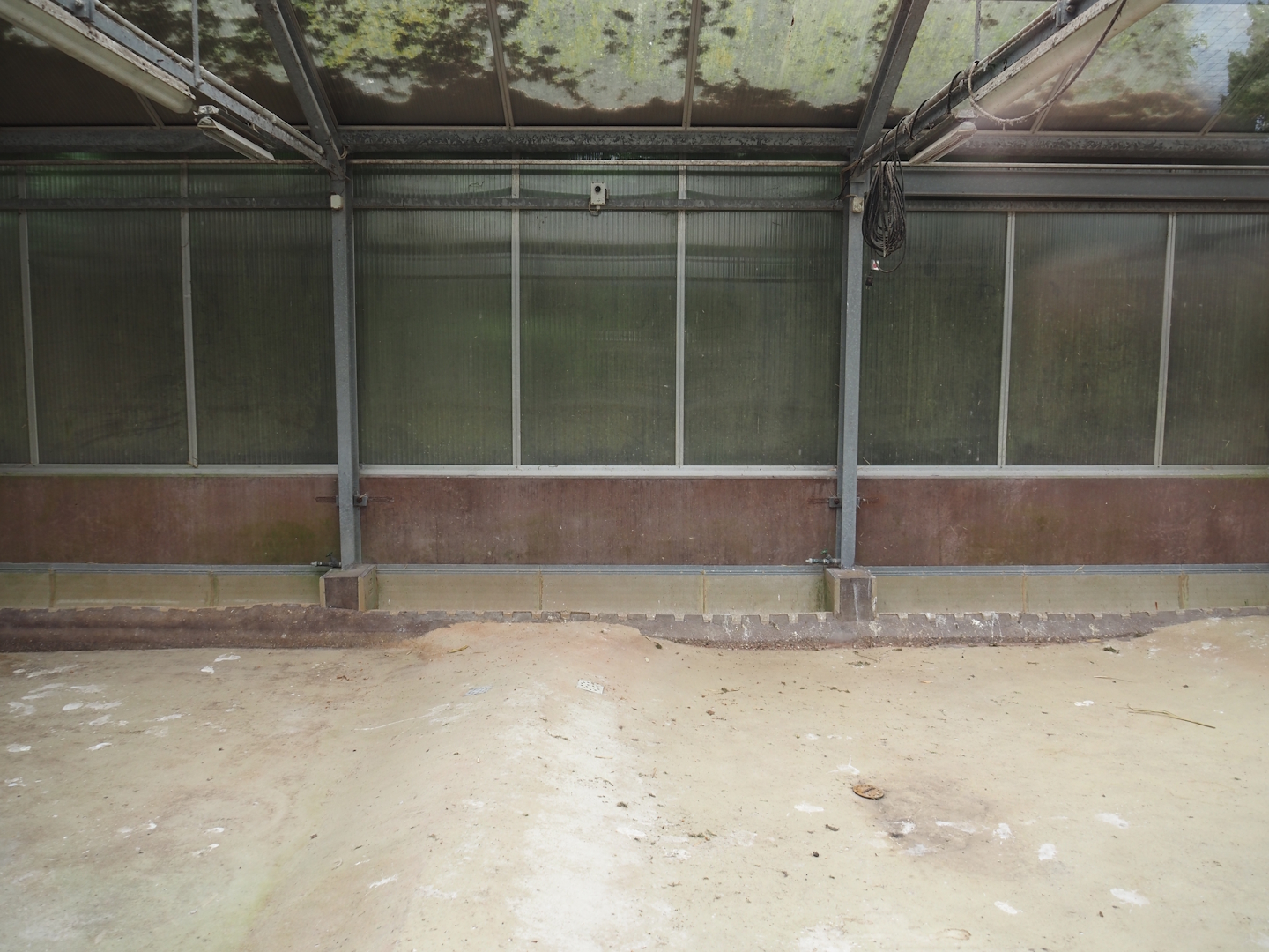 Chilean flamingo indoor exhibit, 2025-05-22