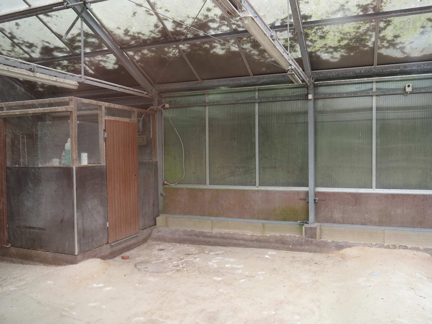 Chilean flamingo indoor exhibit, 2025-05-22