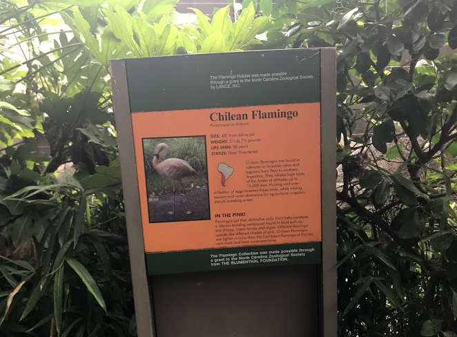 Chilean Flamingo Sign at the North Carolina Zoo