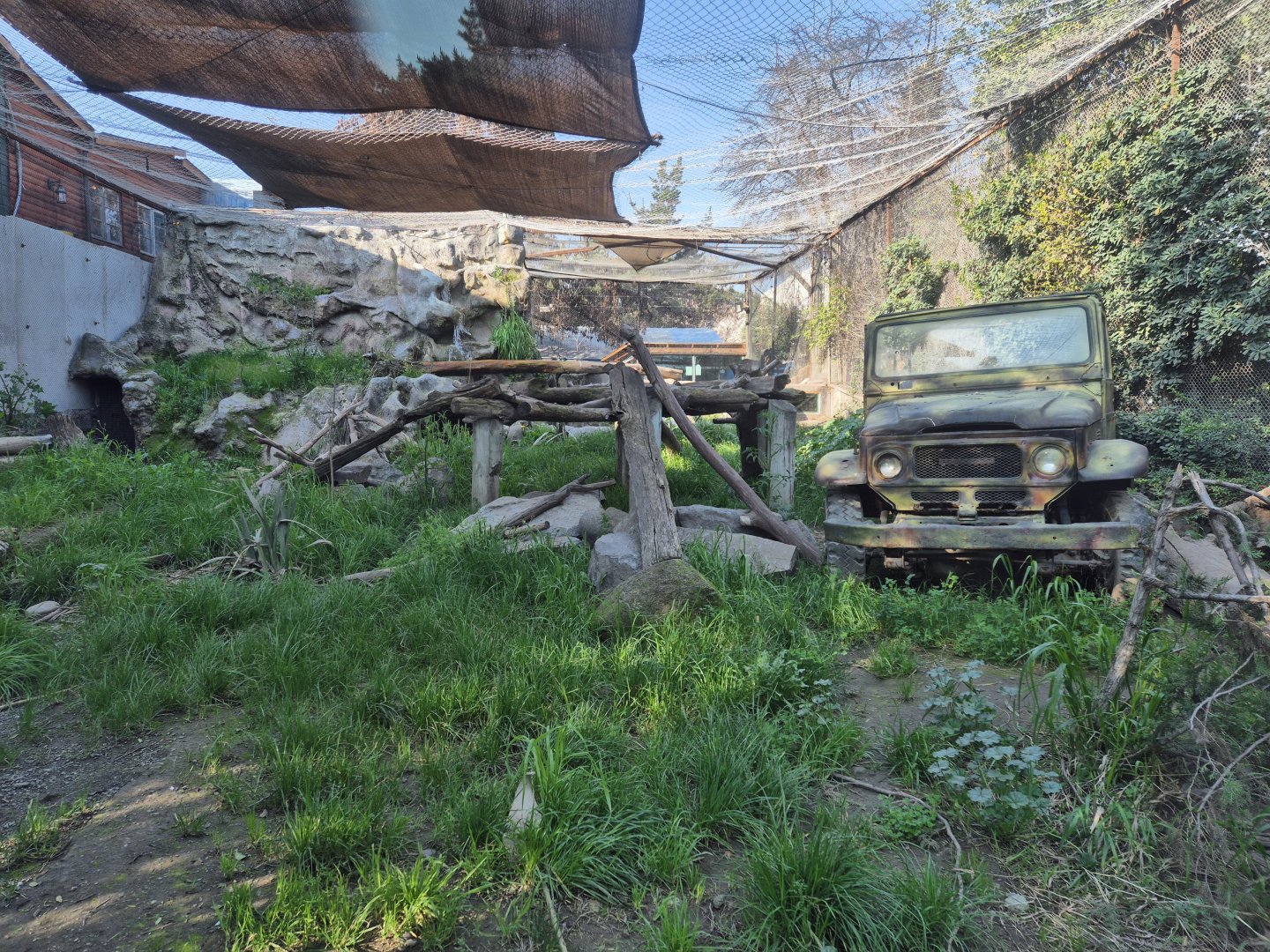 Chilean Puma 2nd exhibit