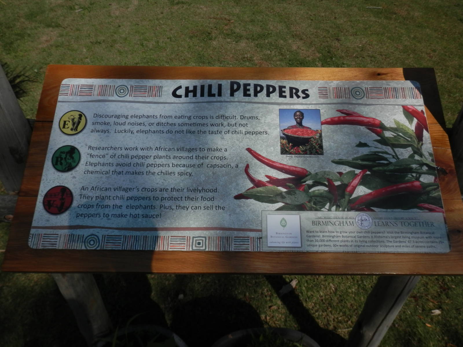 Chili Pepper sign