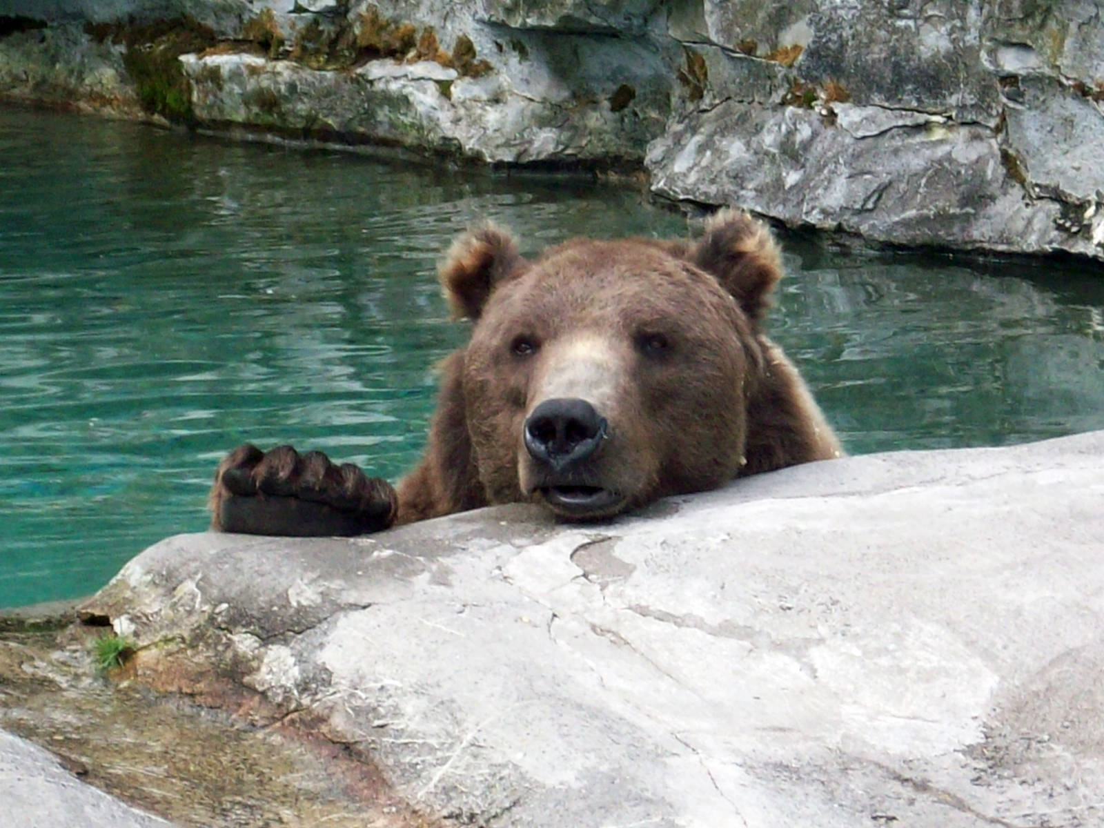 Chilling Out on a Warm Day