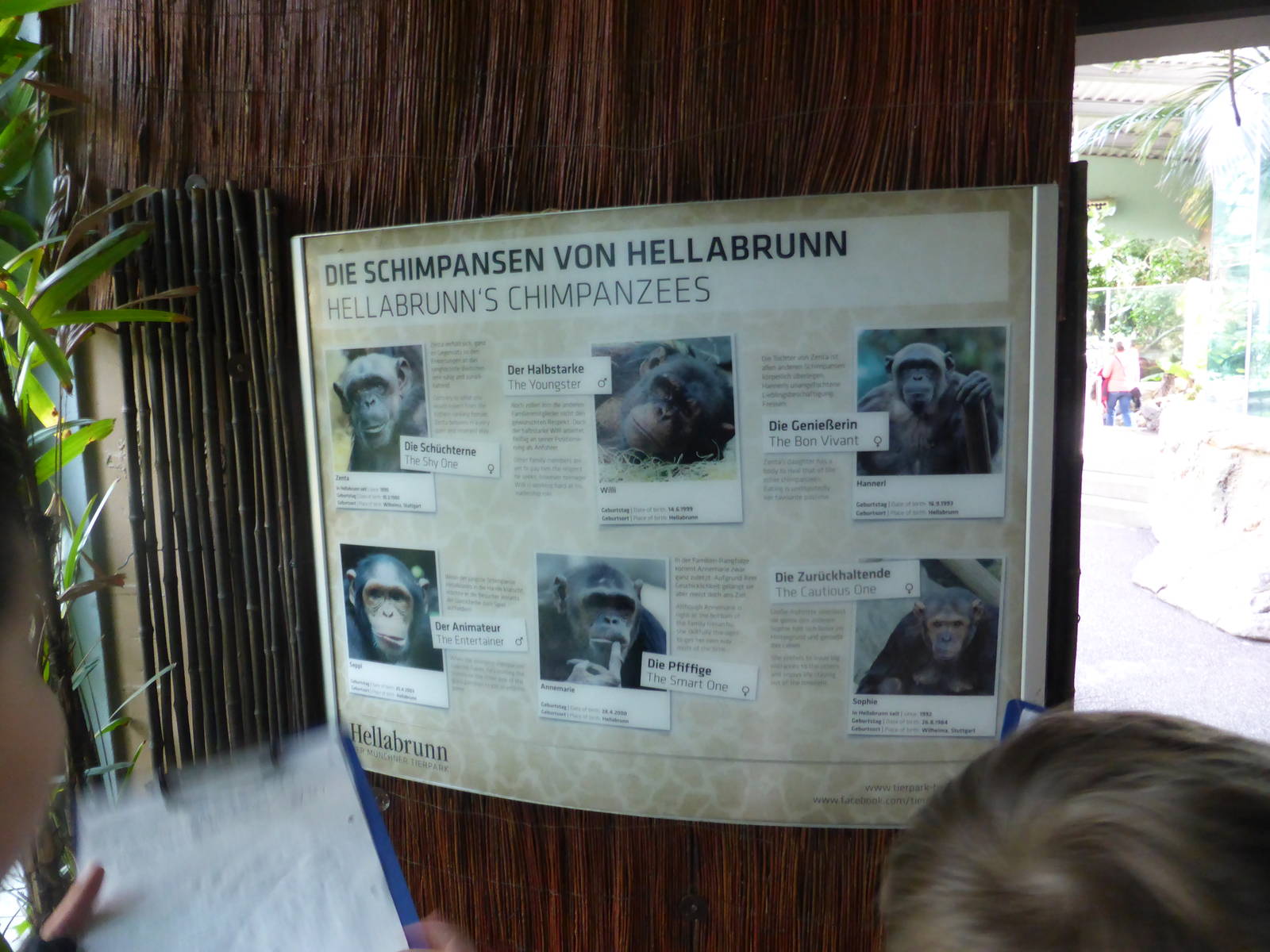Chimp biographies