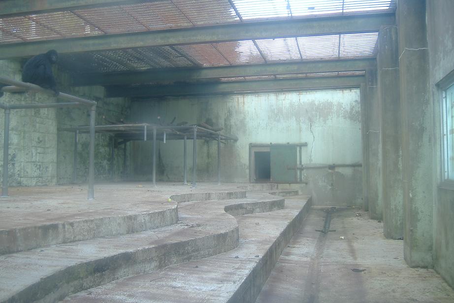 Chimp cage at Belfast Summer 2007