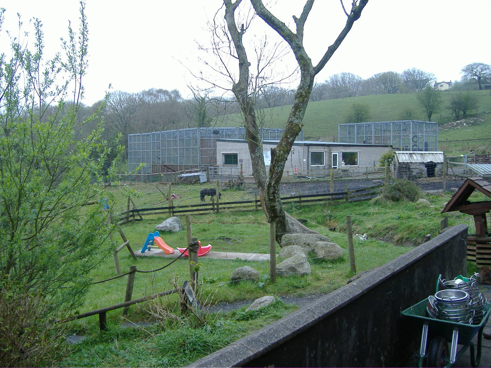 Chimp Cages Cefn-yr-Erw