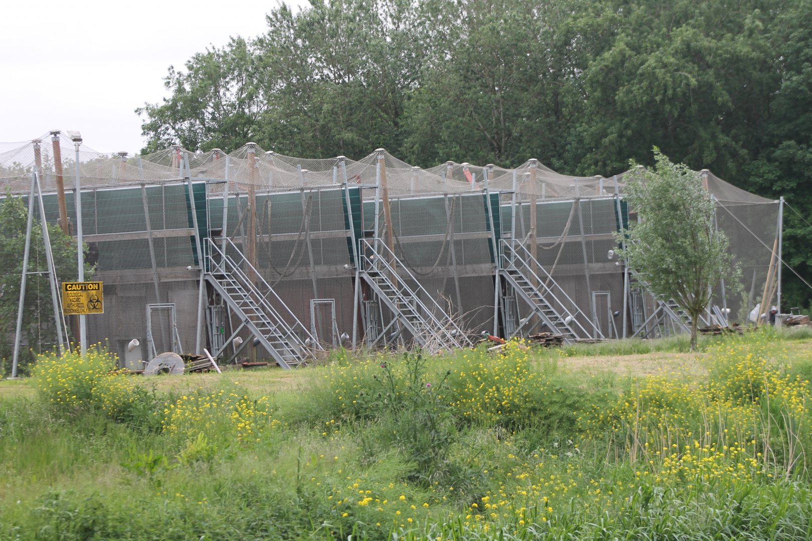 Chimp-complex Front-enclosures