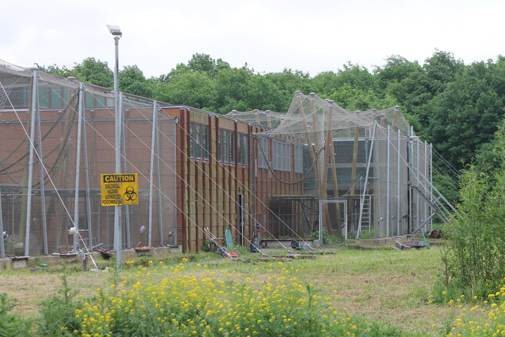 Chimp-complex - Side-enclosures