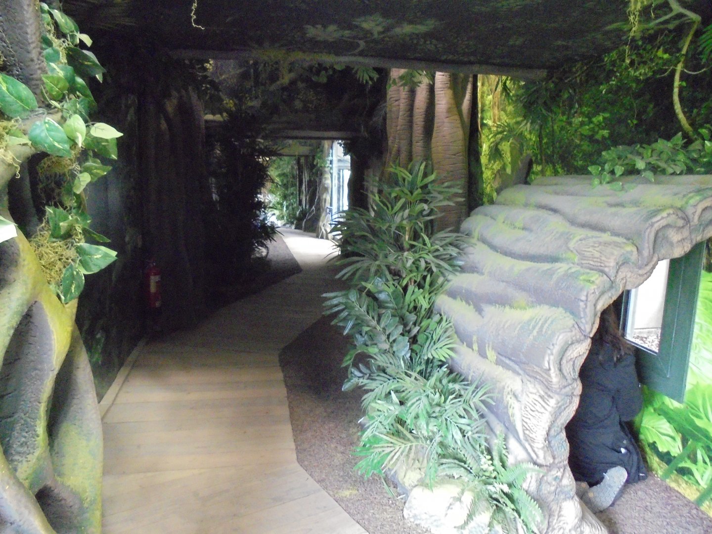 Chimp Eden Visitor Walkway