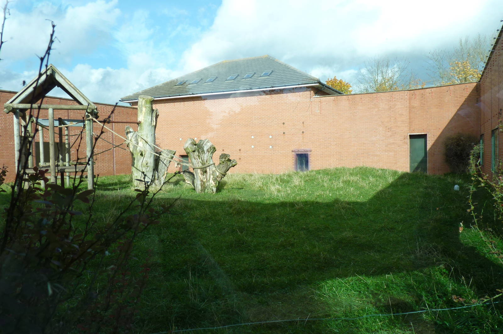 Chimp enclosure, 17 October 2012