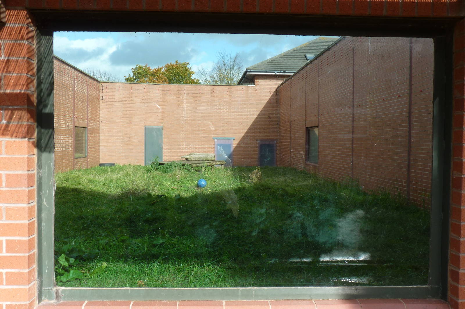 Chimp enclosure, 17 October 2012