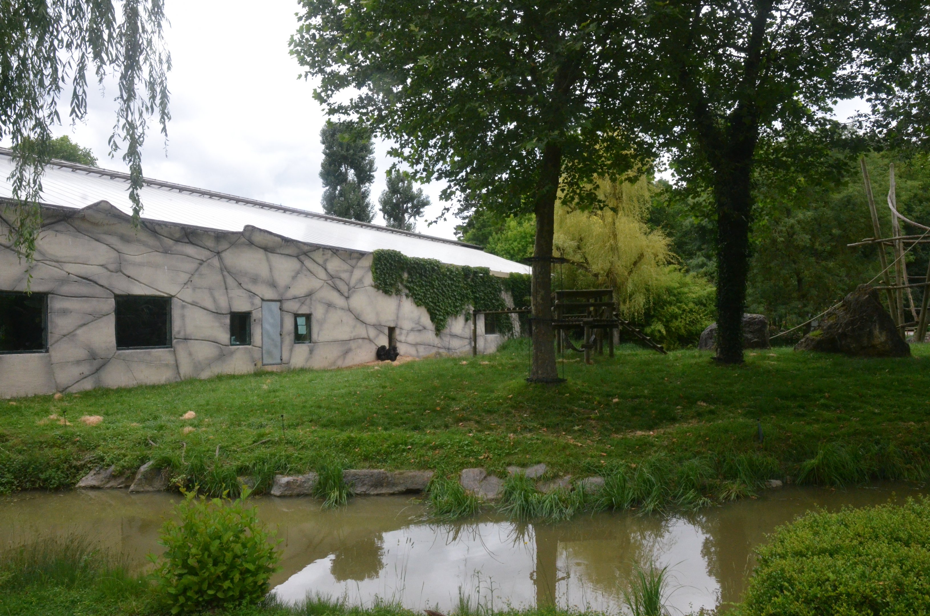 Chimp Enclosure at Beauval, 12/06/18