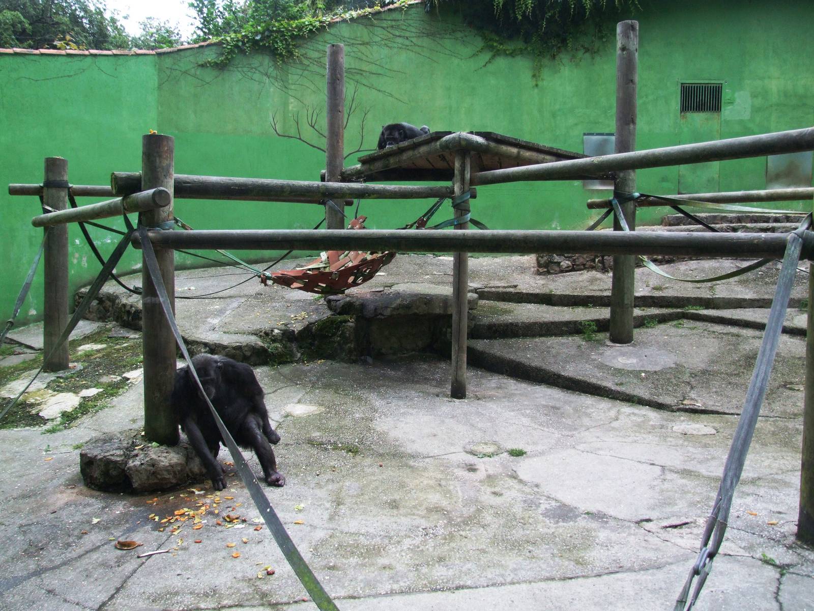 Chimp Enclosure at Santillana del Mar, 13/06/15