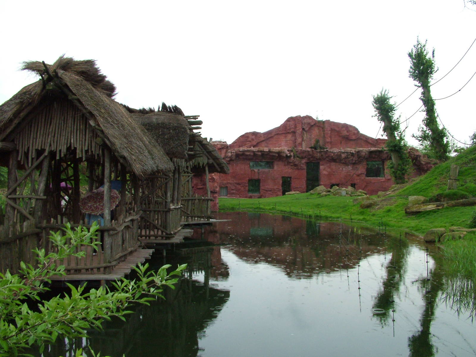 Chimp enclosure at ZOOM 11/05/09