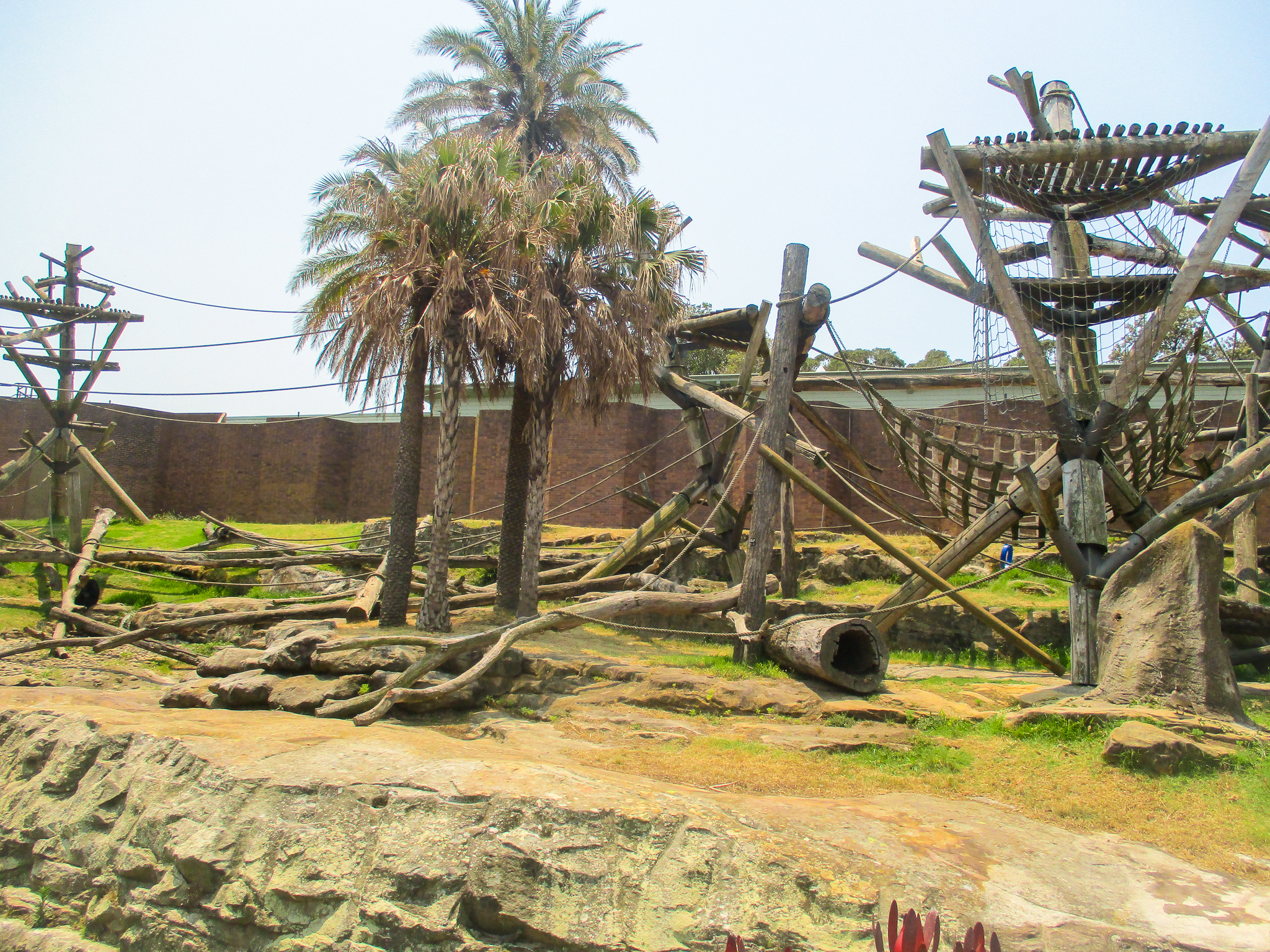 Chimp Enclosure - December 2019