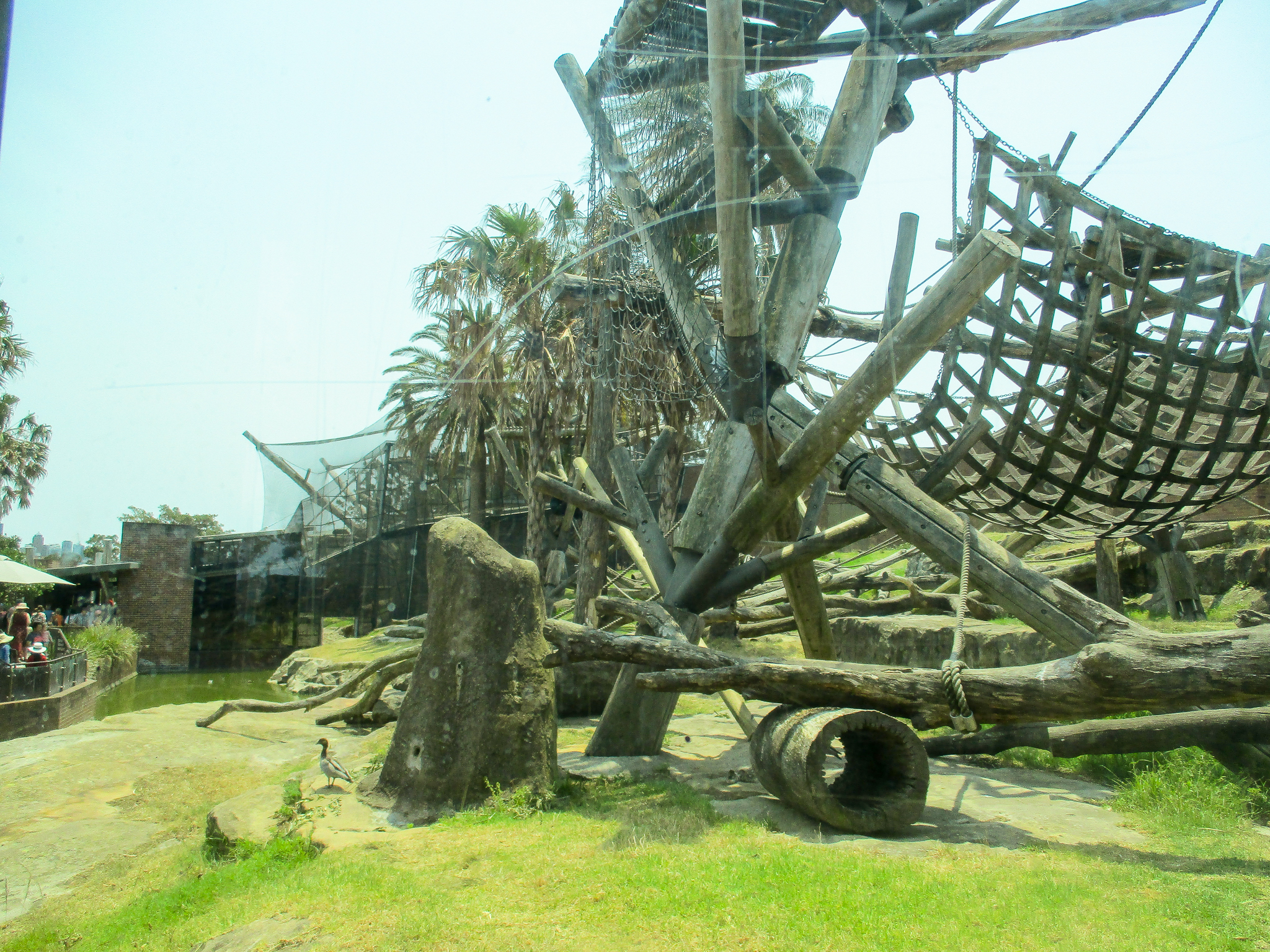 Chimp Enclosure - December 2019