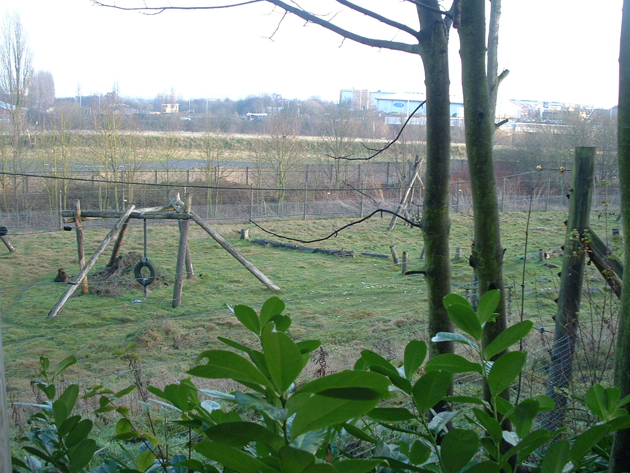 Chimp Enclosure - Dudley 2006