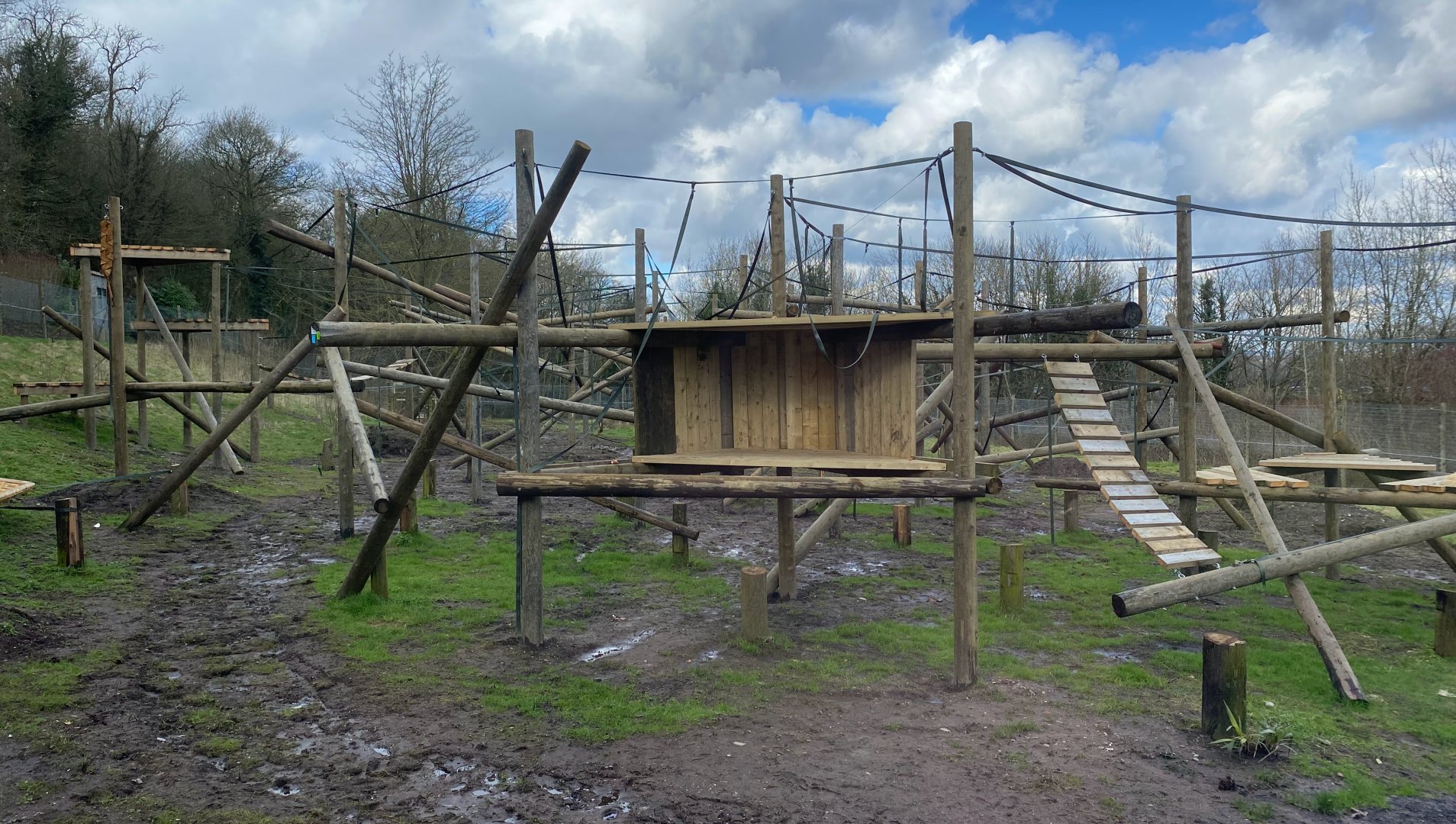 Chimp enclosure new structures from lower viewing window, Dudley, UK