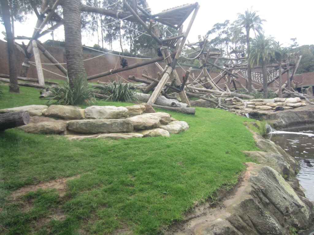Chimp enclosure