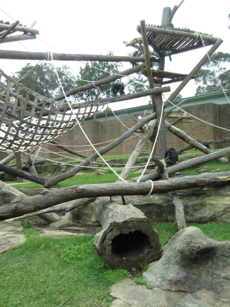 Chimp enclosure
