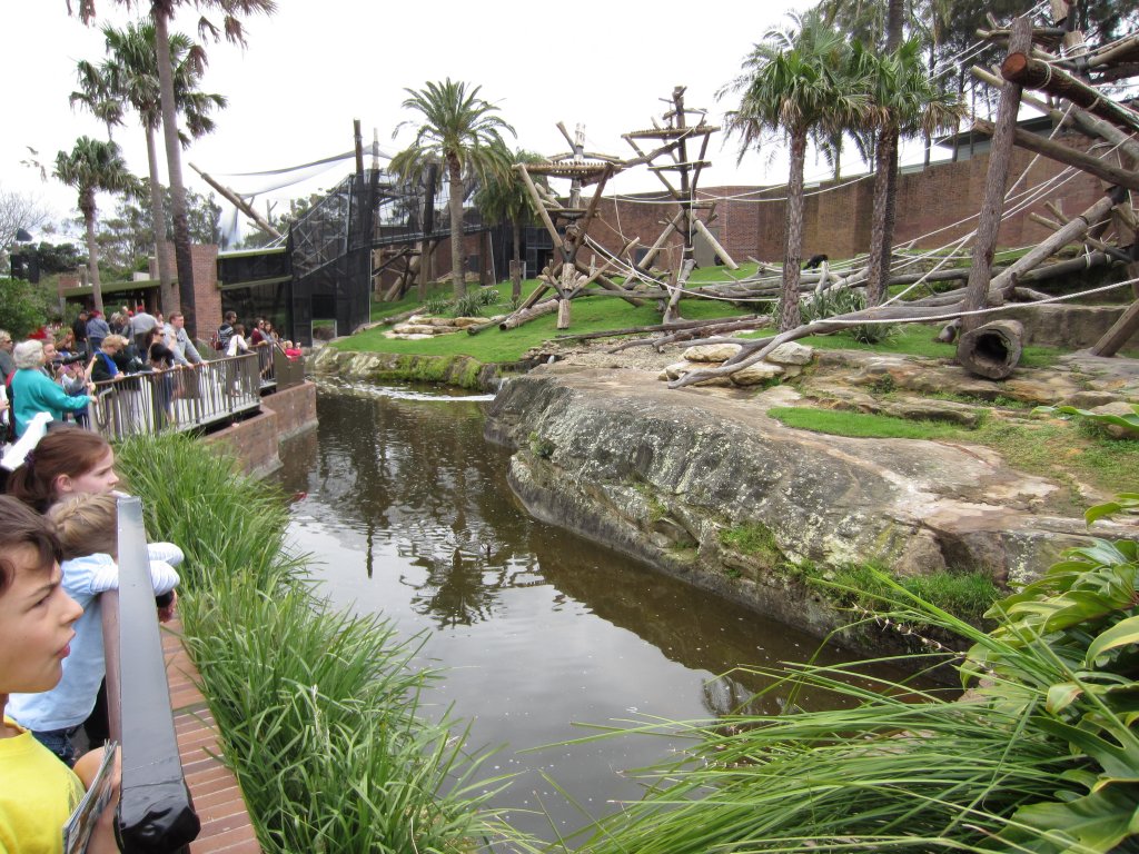 Chimp enclosure