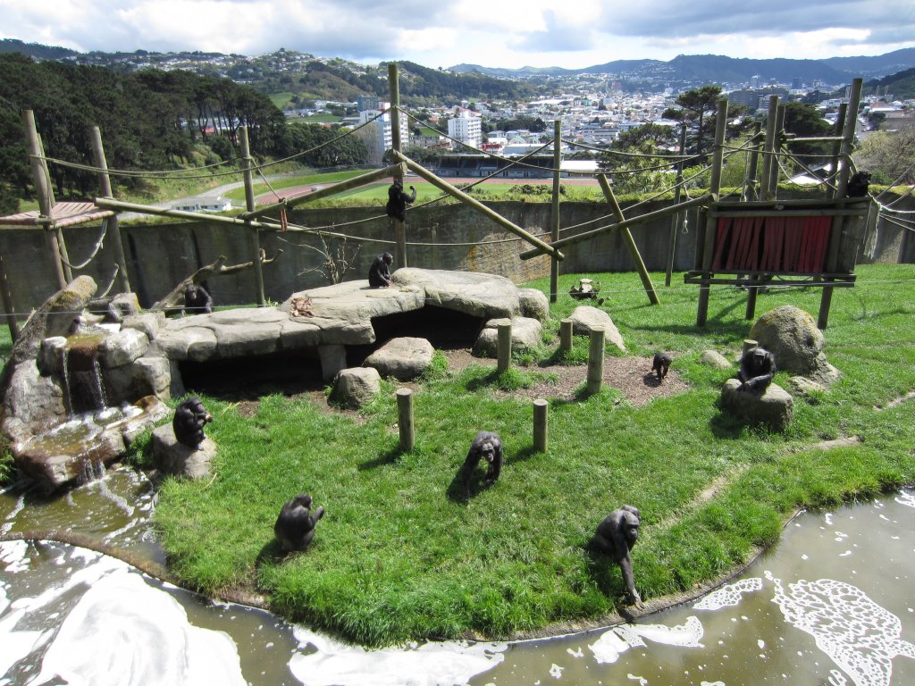 Chimp enclosure