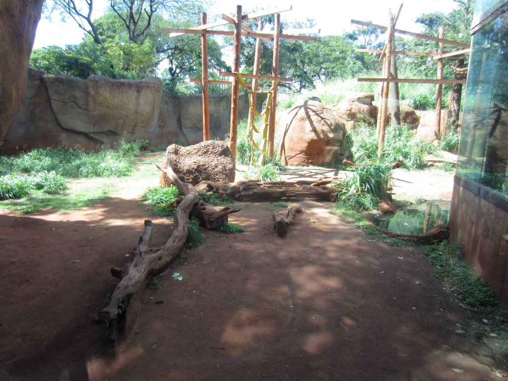 Chimp enclosure